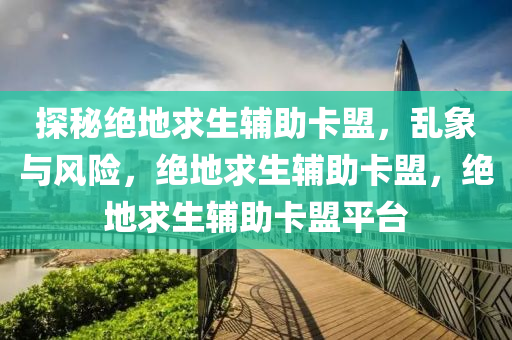 探秘绝地求生辅助卡盟，乱象与风险，绝地求生辅助卡盟，绝地求生辅助卡盟平台