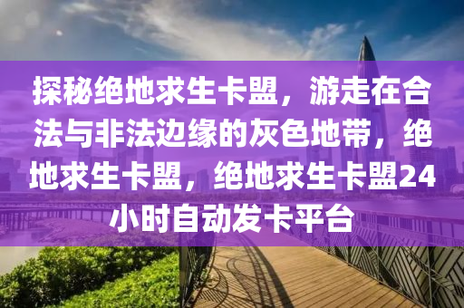 探秘绝地求生卡盟，游走在合法与非法边缘的灰色地带，绝地求生卡盟，绝地求生卡盟24小时自动发卡平台