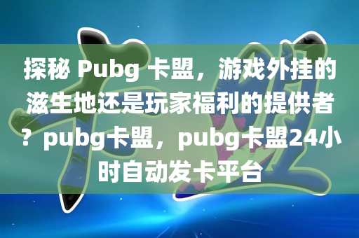 探秘 Pubg 卡盟，游戏外挂的滋生地还是玩家福利的提供者？pubg卡盟，pubg卡盟24小时自动发卡平台