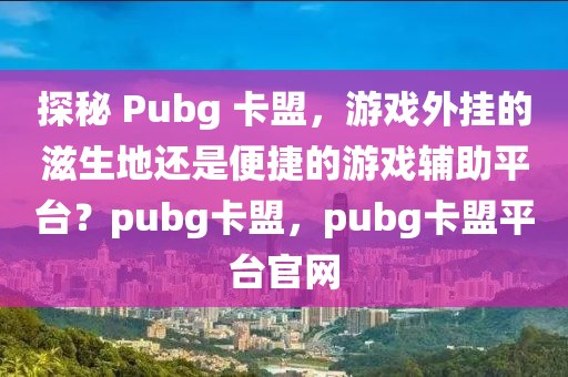 探秘 Pubg 卡盟，游戏外挂的滋生地还是便捷的游戏辅助平台？pubg卡盟，pubg卡盟平台官网