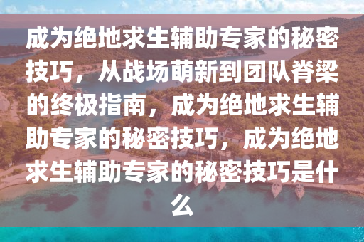 成为绝地求生辅助专家的秘密技巧，从战场萌新到团队脊梁的终极指南，成为绝地求生辅助专家的秘密技巧，成为绝地求生辅助专家的秘密技巧是什么