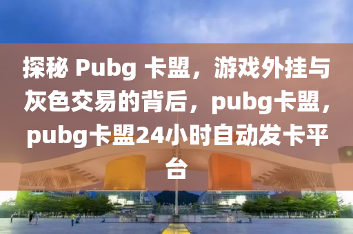 探秘 Pubg 卡盟，游戏外挂与灰色交易的背后，pubg卡盟，pubg卡盟24小时自动发卡平台