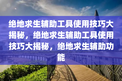 绝地求生辅助工具使用技巧大揭秘，绝地求生辅助工具使用技巧大揭秘，绝地求生辅助功能