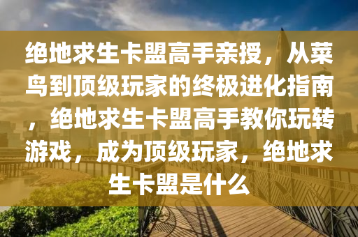 绝地求生卡盟高手亲授，从菜鸟到顶级玩家的终极进化指南，绝地求生卡盟高手教你玩转游戏，成为顶级玩家，绝地求生卡盟是什么