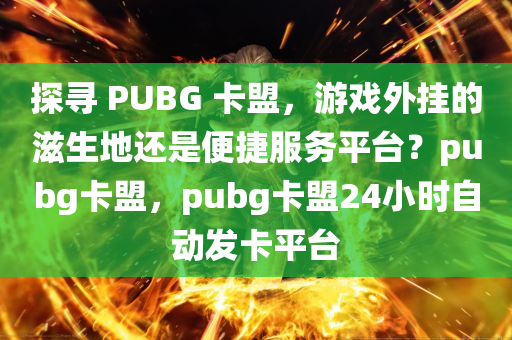 探寻 PUBG 卡盟，游戏外挂的滋生地还是便捷服务平台？pubg卡盟，pubg卡盟24小时自动发卡平台