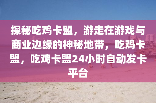 探秘吃鸡卡盟，游走在游戏与商业边缘的神秘地带，吃鸡卡盟，吃鸡卡盟24小时自动发卡平台