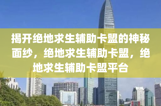揭开绝地求生辅助卡盟的神秘面纱，绝地求生辅助卡盟，绝地求生辅助卡盟平台