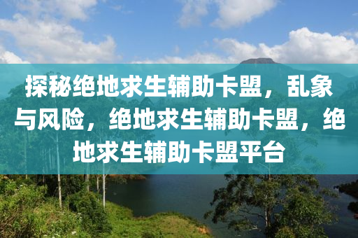 探秘绝地求生辅助卡盟，乱象与风险，绝地求生辅助卡盟，绝地求生辅助卡盟平台