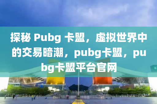 探秘 Pubg 卡盟，虚拟世界中的交易暗潮，pubg卡盟，pubg卡盟平台官网