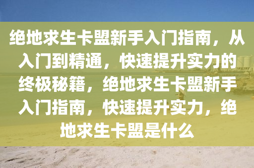 绝地求生卡盟新手入门指南，从入门到精通，快速提升实力的终极秘籍，绝地求生卡盟新手入门指南，快速提升实力，绝地求生卡盟是什么