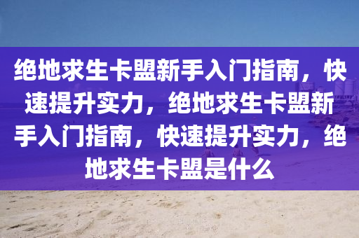 绝地求生卡盟新手入门指南，快速提升实力，绝地求生卡盟新手入门指南，快速提升实力，绝地求生卡盟是什么
