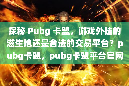 探秘 Pubg 卡盟，游戏外挂的滋生地还是合法的交易平台？pubg卡盟，pubg卡盟平台官网