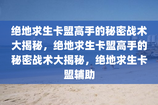 绝地求生卡盟高手的秘密战术大揭秘，绝地求生卡盟高手的秘密战术大揭秘，绝地求生卡盟辅助