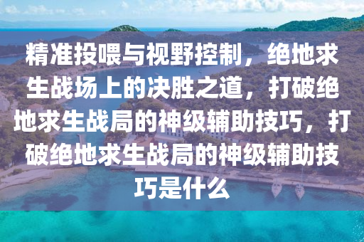 精准投喂与视野控制，绝地求生战场上的决胜之道，打破绝地求生战局的神级辅助技巧，打破绝地求生战局的神级辅助技巧是什么