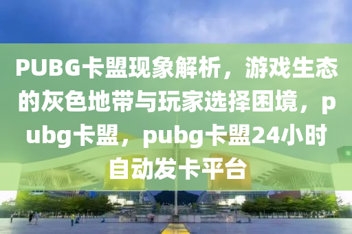 PUBG卡盟现象解析，游戏生态的灰色地带与玩家选择困境，pubg卡盟，pubg卡盟24小时自动发卡平台