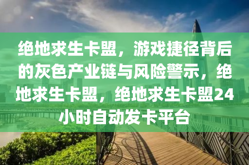 绝地求生卡盟，游戏捷径背后的灰色产业链与风险警示，绝地求生卡盟，绝地求生卡盟24小时自动发卡平台