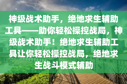 神级战术助手，绝地求生辅助工具——助你轻松操控战局，神级战术助手！绝地求生辅助工具让你轻松操控战局，绝地求生战斗模式辅助