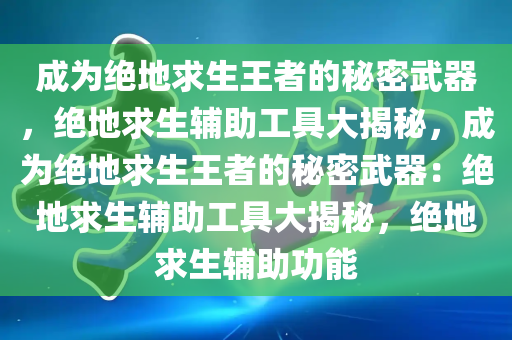 成为绝地求生王者的秘密武器，绝地求生辅助工具大揭秘，成为绝地求生王者的秘密武器：绝地求生辅助工具大揭秘，绝地求生辅助功能