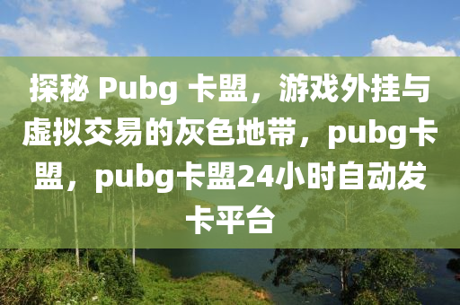 探秘 Pubg 卡盟，游戏外挂与虚拟交易的灰色地带，pubg卡盟，pubg卡盟24小时自动发卡平台