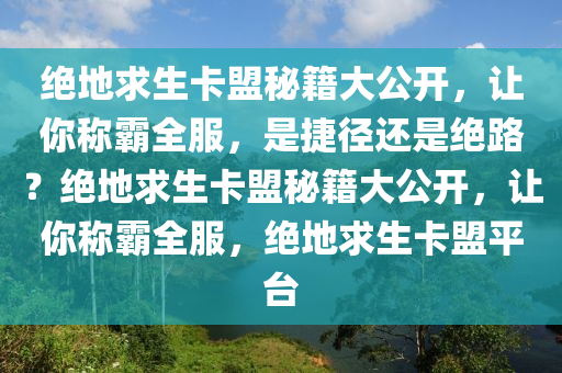 绝地求生卡盟秘籍大公开，让你称霸全服，是捷径还是绝路？绝地求生卡盟秘籍大公开，让你称霸全服，绝地求生卡盟平台
