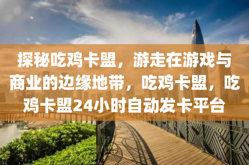 探秘吃鸡卡盟，游走在游戏与商业的边缘地带，吃鸡卡盟，吃鸡卡盟24小时自动发卡平台