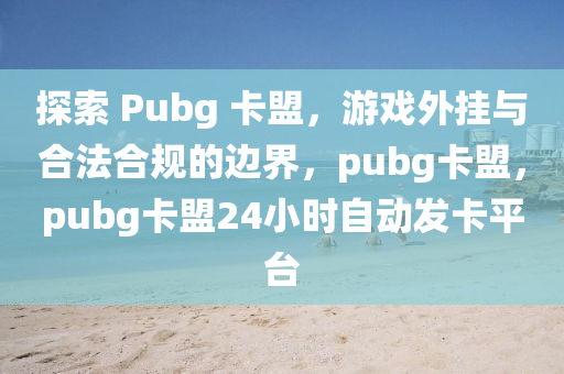 探索 Pubg 卡盟，游戏外挂与合法合规的边界，pubg卡盟，pubg卡盟24小时自动发卡平台