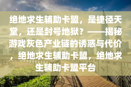 绝地求生辅助卡盟，是捷径天堂，还是封号地狱？——揭秘游戏灰色产业链的诱惑与代价，绝地求生辅助卡盟，绝地求生辅助卡盟平台