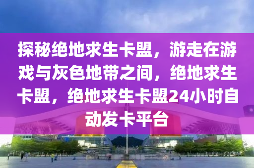 探秘绝地求生卡盟，游走在游戏与灰色地带之间，绝地求生卡盟，绝地求生卡盟24小时自动发卡平台