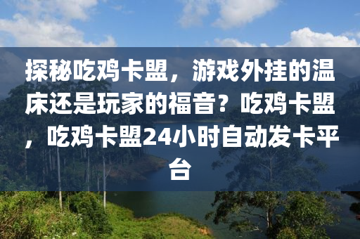 探秘吃鸡卡盟，游戏外挂的温床还是玩家的福音？吃鸡卡盟，吃鸡卡盟24小时自动发卡平台