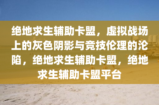 绝地求生辅助卡盟，虚拟战场上的灰色阴影与竞技伦理的沦陷，绝地求生辅助卡盟，绝地求生辅助卡盟平台