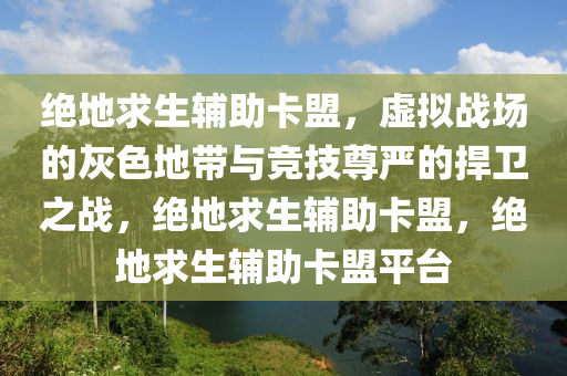 绝地求生辅助卡盟，虚拟战场的灰色地带与竞技尊严的捍卫之战，绝地求生辅助卡盟，绝地求生辅助卡盟平台