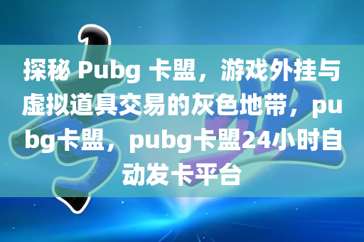 探秘 Pubg 卡盟，游戏外挂与虚拟道具交易的灰色地带，pubg卡盟，pubg卡盟24小时自动发卡平台