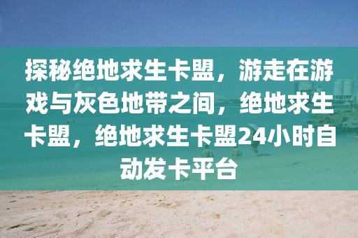 探秘绝地求生卡盟，游走在游戏与灰色地带之间，绝地求生卡盟，绝地求生卡盟24小时自动发卡平台