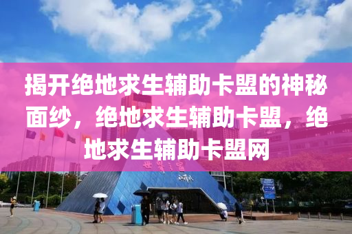 揭开绝地求生辅助卡盟的神秘面纱，绝地求生辅助卡盟，绝地求生辅助卡盟网