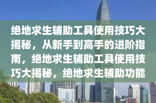 绝地求生辅助工具使用技巧大揭秘，从新手到高手的进阶指南，绝地求生辅助工具使用技巧大揭秘，绝地求生辅助功能