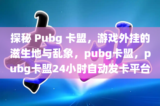 探秘 Pubg 卡盟，游戏外挂的滋生地与乱象，pubg卡盟，pubg卡盟24小时自动发卡平台