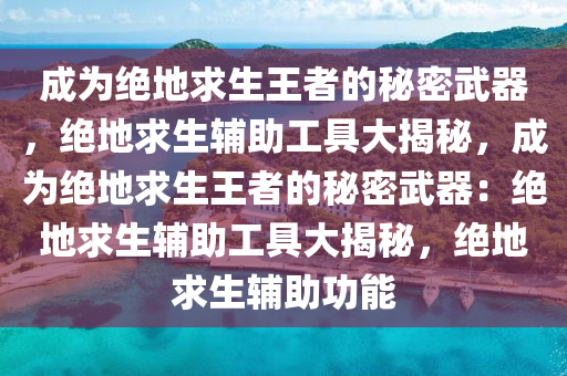 成为绝地求生王者的秘密武器，绝地求生辅助工具大揭秘，成为绝地求生王者的秘密武器：绝地求生辅助工具大揭秘，绝地求生辅助功能