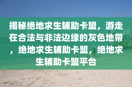 揭秘绝地求生辅助卡盟，游走在合法与非法边缘的灰色地带，绝地求生辅助卡盟，绝地求生辅助卡盟平台