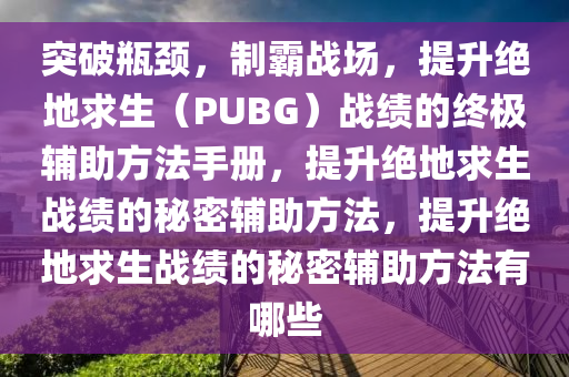 突破瓶颈，制霸战场，提升绝地求生（PUBG）战绩的终极辅助方法手册，提升绝地求生战绩的秘密辅助方法，提升绝地求生战绩的秘密辅助方法有哪些