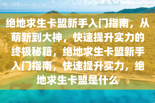 绝地求生卡盟新手入门指南，从萌新到大神，快速提升实力的终极秘籍，绝地求生卡盟新手入门指南，快速提升实力，绝地求生卡盟是什么