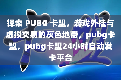 探索 PUBG 卡盟，游戏外挂与虚拟交易的灰色地带，pubg卡盟，pubg卡盟24小时自动发卡平台