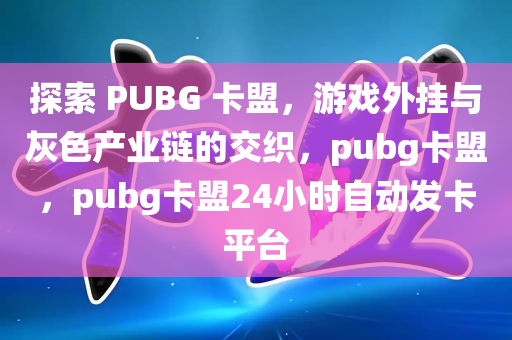 探索 PUBG 卡盟，游戏外挂与灰色产业链的交织，pubg卡盟，pubg卡盟24小时自动发卡平台