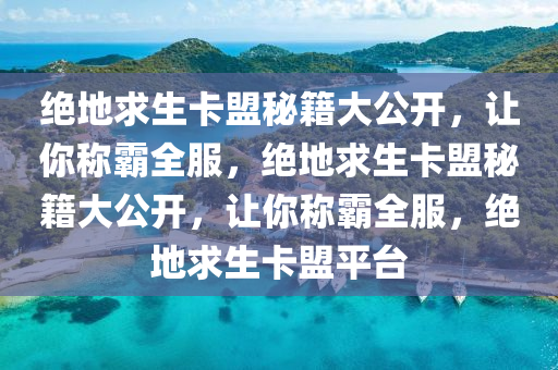 绝地求生卡盟秘籍大公开，让你称霸全服，绝地求生卡盟秘籍大公开，让你称霸全服，绝地求生卡盟平台
