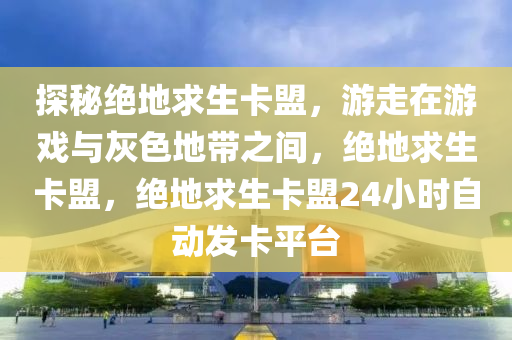 探秘绝地求生卡盟，游走在游戏与灰色地带之间，绝地求生卡盟，绝地求生卡盟24小时自动发卡平台