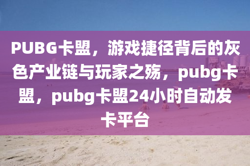 PUBG卡盟，游戏捷径背后的灰色产业链与玩家之殇，pubg卡盟，pubg卡盟24小时自动发卡平台