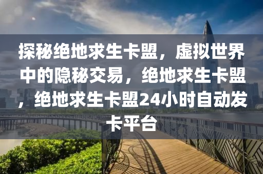 探秘绝地求生卡盟，虚拟世界中的隐秘交易，绝地求生卡盟，绝地求生卡盟24小时自动发卡平台