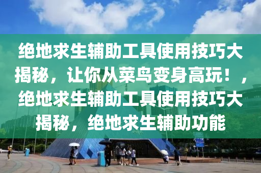 绝地求生辅助工具使用技巧大揭秘，让你从菜鸟变身高玩！，绝地求生辅助工具使用技巧大揭秘，绝地求生辅助功能