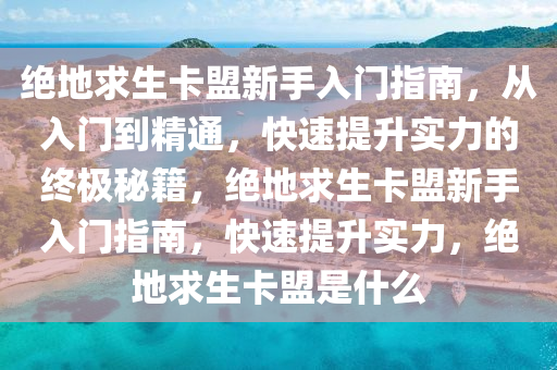 绝地求生卡盟新手入门指南，从入门到精通，快速提升实力的终极秘籍，绝地求生卡盟新手入门指南，快速提升实力，绝地求生卡盟是什么