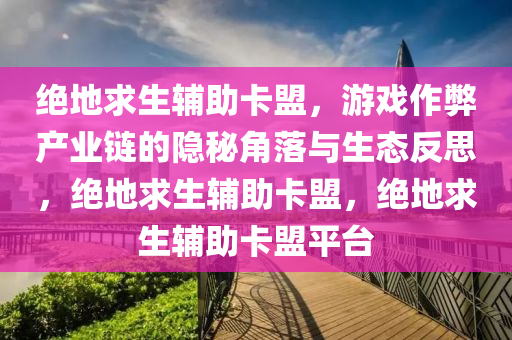 绝地求生辅助卡盟，游戏作弊产业链的隐秘角落与生态反思，绝地求生辅助卡盟，绝地求生辅助卡盟平台