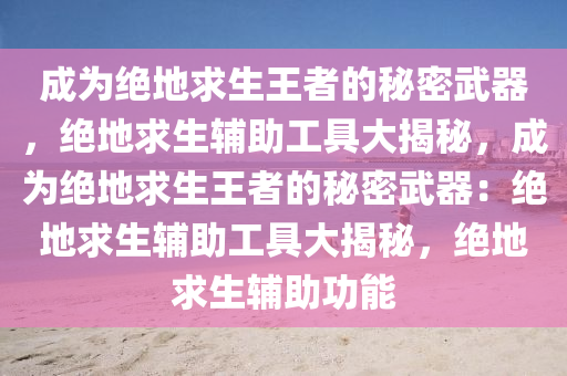 成为绝地求生王者的秘密武器，绝地求生辅助工具大揭秘，成为绝地求生王者的秘密武器：绝地求生辅助工具大揭秘，绝地求生辅助功能